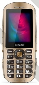 Ginzzu R1D