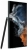 Samsung Galaxy S22 Ultra 5G SM-S908B/DS 12/256GB
