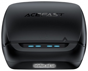 AceFast T4 Playful