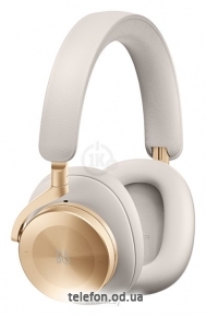 Bang & Olufsen Beoplay H95