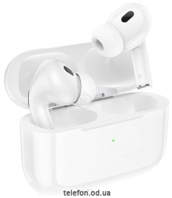 Borofone BW32