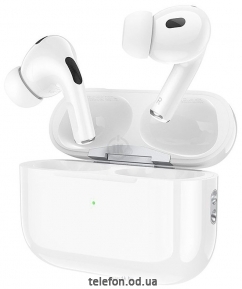 Borofone BW35