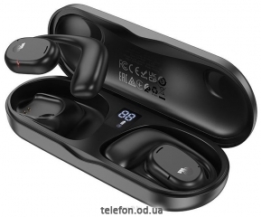 Borofone BW41