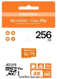 BreezyTech Ultra microSDXC Class 10/A2/V30 256GB ( )