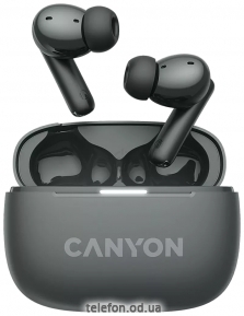 Canyon TWS-10