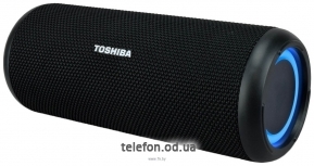 Toshiba TY-WSP201