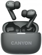 Canyon TWS-10