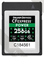 Delkin DCFX1-256