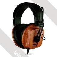 Fostex T60RP