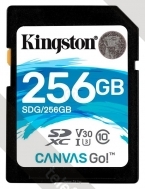 Kingston SDG/256GB