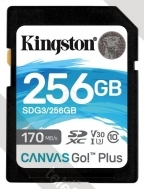 Kingston SDG3/256GB