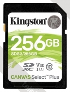 Kingston SDS2/256GB