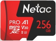 Netac NT02P500PRO-256G-S