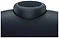 Apple AirPods Max (  USB Type-C, )