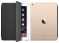 Apple iPad Air 2 16Gb Wi-Fi + Cellular