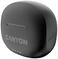 Canyon TWS-8 ()