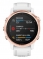 Garmin Fenix 6S Pro