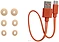 JBL Wave Buds ()