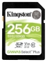 Kingston SDS2/256GB